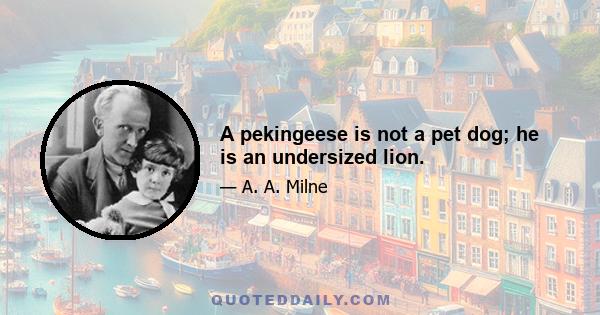 A pekingeese is not a pet dog; he is an undersized lion.