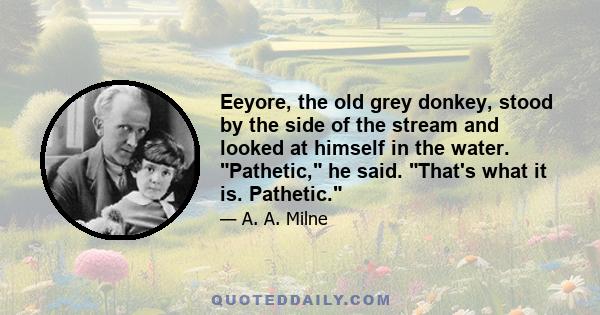 Eeyore, the old grey donkey, stood by the side of the stream and looked at himself in the water. Pathetic, he said. That's what it is. Pathetic.