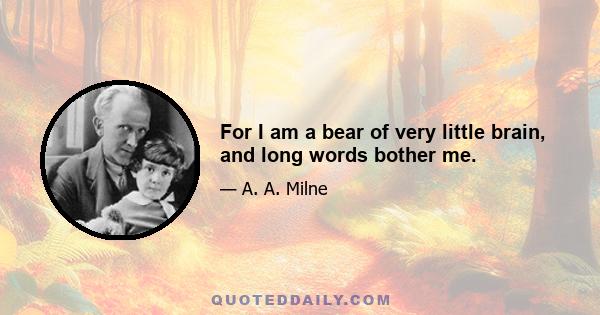 For I am a bear of very little brain, and long words bother me.