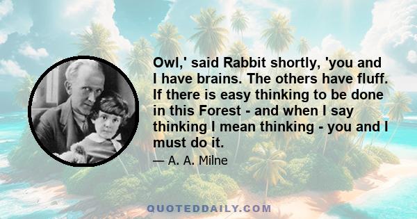 Owl,' said Rabbit shortly, 'you and I have brains. The others have fluff. If there is easy thinking to be done in this Forest - and when I say thinking I mean thinking - you and I must do it.