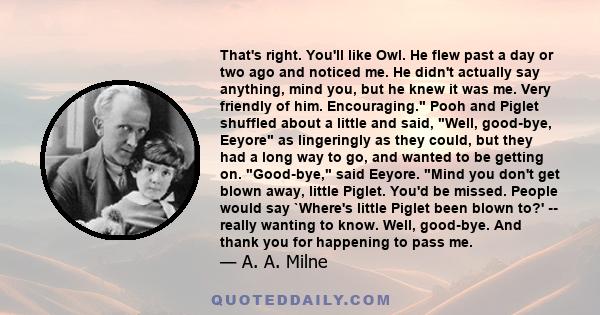 That's right. You'll like Owl. He flew past a day or two ago and noticed me. He didn't actually say anything, mind you, but he knew it was me. Very friendly of him. Encouraging. Pooh and Piglet shuffled about a little