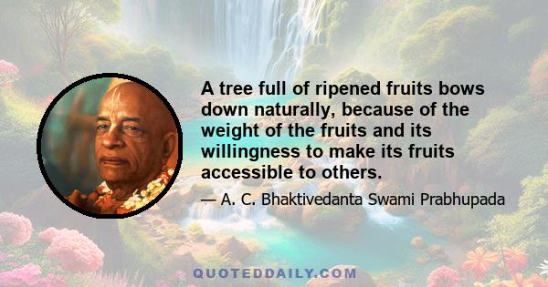 A tree full of ripened fruits bows down naturally, because of the weight of the fruits and its willingness to make its fruits accessible to others.