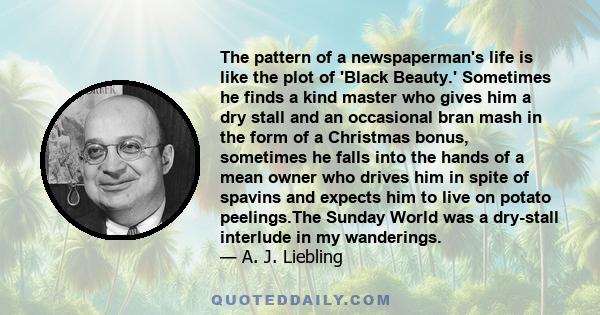 The pattern of a newspaperman's life is like the plot of 'Black Beauty.' Sometimes he finds a kind master who gives him a dry stall and an occasional bran mash in the form of a Christmas bonus, sometimes he falls into