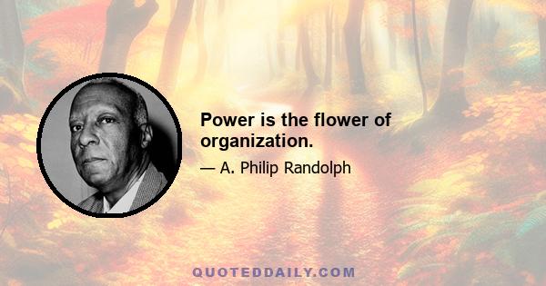 Power is the flower of organization.