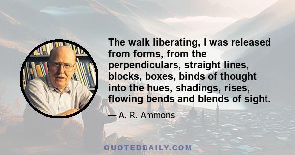 The walk liberating, I was released from forms, from the perpendiculars, straight lines, blocks, boxes, binds of thought into the hues, shadings, rises, flowing bends and blends of sight.