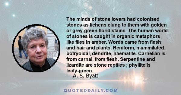 The minds of stone lovers had colonised stones as lichens clung to them with golden or grey-green florid stains. The human world of stones is caught in organic metaphors like flies in amber. Words came from flesh and