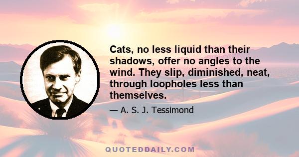 Cats, no less liquid than their shadows, offer no angles to the wind. They slip, diminished, neat, through loopholes less than themselves.