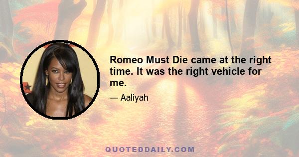 Romeo Must Die came at the right time. It was the right vehicle for me.