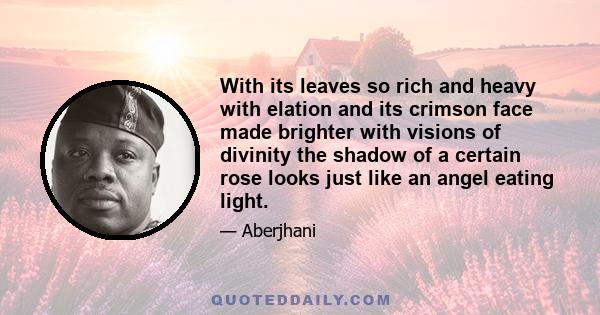 With its leaves so rich and heavy with elation and its crimson face made brighter with visions of divinity the shadow of a certain rose looks just like an angel eating light.