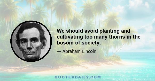 We should avoid planting and cultivating too many thorns in the bosom of society.