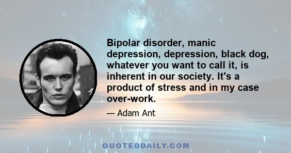 Bipolar disorder, manic depression, depression, black dog, whatever you want to call it, is inherent in our society. It's a product of stress and in my case over-work.