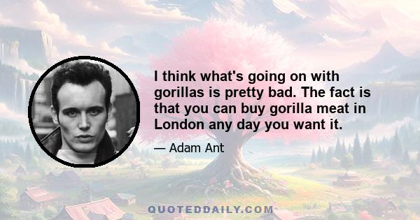 I think what's going on with gorillas is pretty bad. The fact is that you can buy gorilla meat in London any day you want it.