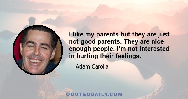 I like my parents but they are just not good parents. They are nice enough people. I'm not interested in hurting their feelings.