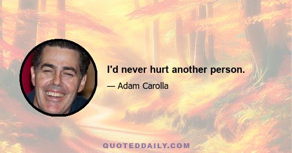 I'd never hurt another person.