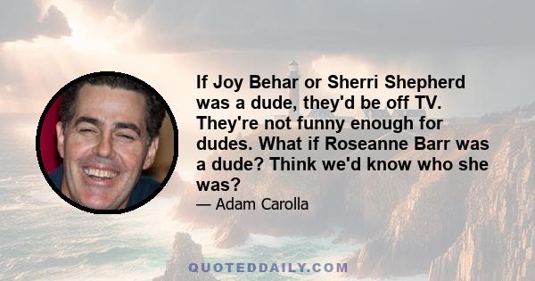 If Joy Behar or Sherri Shepherd was a dude, they'd be off TV. They're not funny enough for dudes. What if Roseanne Barr was a dude? Think we'd know who she was?