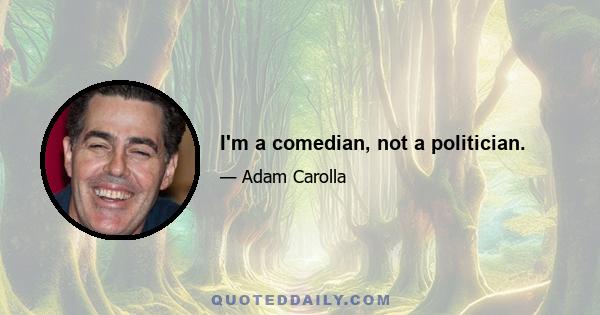 I'm a comedian, not a politician.