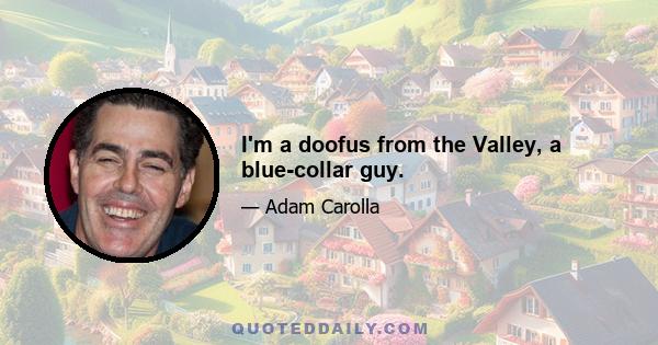 I'm a doofus from the Valley, a blue-collar guy.