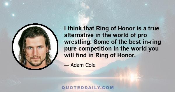 I think that Ring of Honor is a true alternative in the world of pro wrestling. Some of the best in-ring pure competition in the world you will find in Ring of Honor.