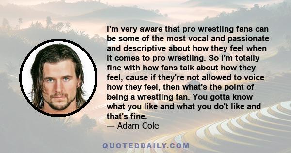 I'm very aware that pro wrestling fans can be some of the most vocal and passionate and descriptive about how they feel when it comes to pro wrestling. So I'm totally fine with how fans talk about how they feel, cause