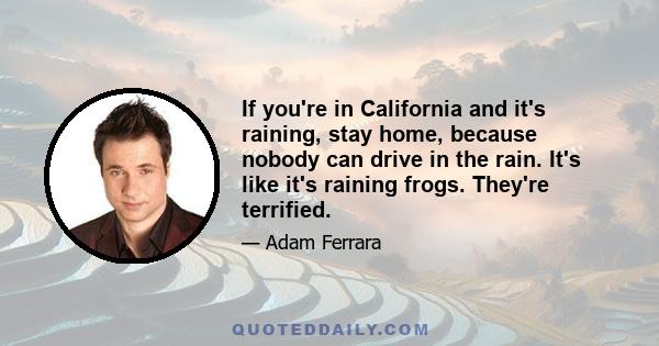 If you're in California and it's raining, stay home, because nobody can drive in the rain. It's like it's raining frogs. They're terrified.