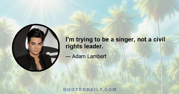 I'm trying to be a singer, not a civil rights leader.