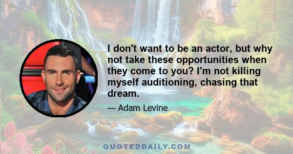 I don't want to be an actor, but why not take these opportunities when they come to you? I'm not killing myself auditioning, chasing that dream.