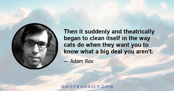 Then it suddenly and theatrically began to clean itself in the way cats do when they want you to know what a big deal you aren't.