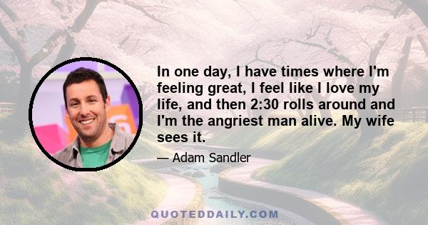 In one day, I have times where I'm feeling great, I feel like I love my life, and then 2:30 rolls around and I'm the angriest man alive. My wife sees it.