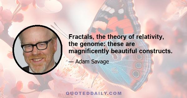 Fractals, the theory of relativity, the genome: these are magnificently beautiful constructs.