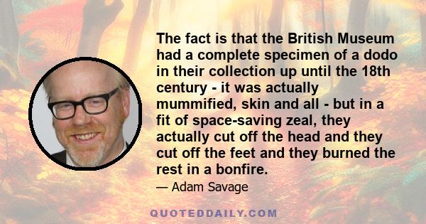 The fact is that the British Museum had a complete specimen of a dodo in their collection up until the 18th century - it was actually mummified, skin and all - but in a fit of space-saving zeal, they actually cut off