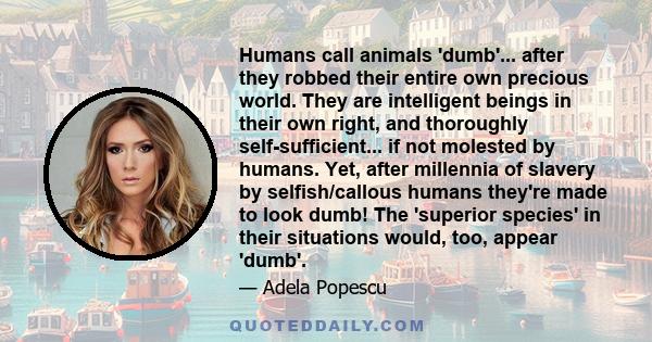 Humans call animals 'dumb'... after they robbed their entire own precious world. They are intelligent beings in their own right, and thoroughly self-sufficient... if not molested by humans. Yet, after millennia of