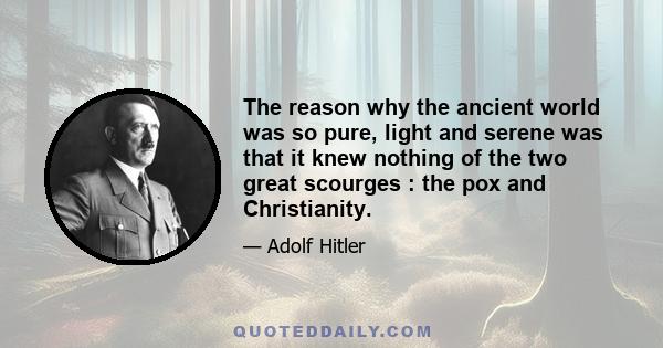 The reason why the ancient world was so pure, light and serene was that it knew nothing of the two great scourges : the pox and Christianity.