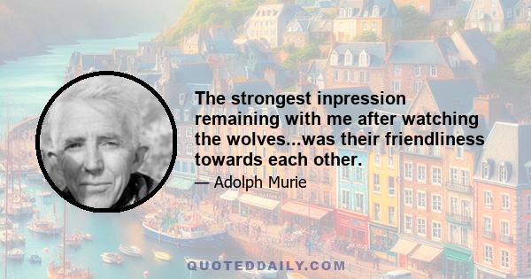 The strongest inpression remaining with me after watching the wolves...was their friendliness towards each other.