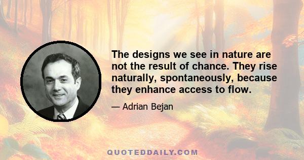 The designs we see in nature are not the result of chance. They rise naturally, spontaneously, because they enhance access to flow.