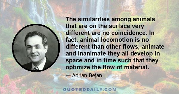 The similarities among animals that are on the surface very different are no coincidence. In fact, animal locomotion is no different than other flows, animate and inanimate they all develop in space and in time such