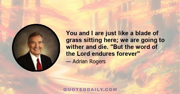 You and I are just like a blade of grass sitting here; we are going to wither and die. But the word of the Lord endures forever