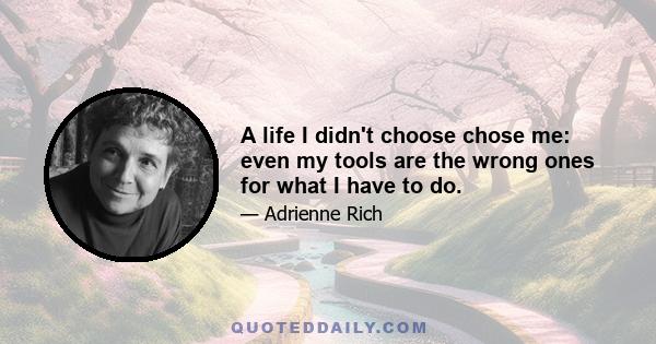 A life I didn't choose chose me: even my tools are the wrong ones for what I have to do.