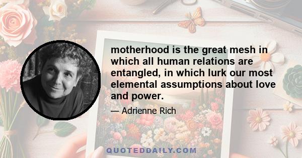 motherhood is the great mesh in which all human relations are entangled, in which lurk our most elemental assumptions about love and power.