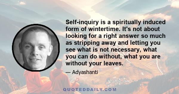 Self-inquiry is a spiritually induced form of wintertime. It's not about looking for a right answer so much as stripping away and letting you see what is not necessary, what you can do without, what you are without your 