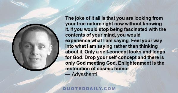 The joke of it all is that you are looking from your true nature right now without knowing it. If you would stop being fascinated with the contents of your mind, you would experience what I am saying. Feel your way into 