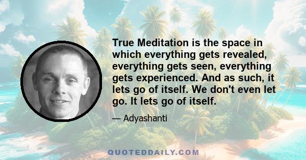 True Meditation is the space in which everything gets revealed, everything gets seen, everything gets experienced. And as such, it lets go of itself. We don't even let go. It lets go of itself.