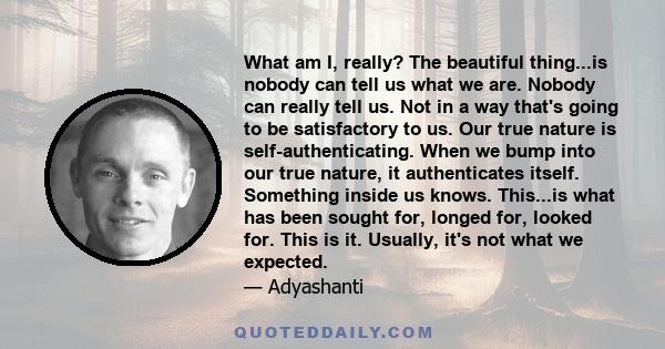 What am I, really? The beautiful thing...is nobody can tell us what we are. Nobody can really tell us. Not in a way that's going to be satisfactory to us. Our true nature is self-authenticating. When we bump into our