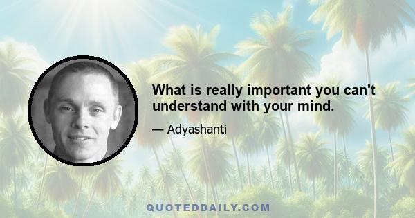 What is really important you can't understand with your mind.