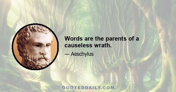 Words are the parents of a causeless wrath.