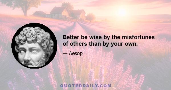 Better be wise by the misfortunes of others than by your own.