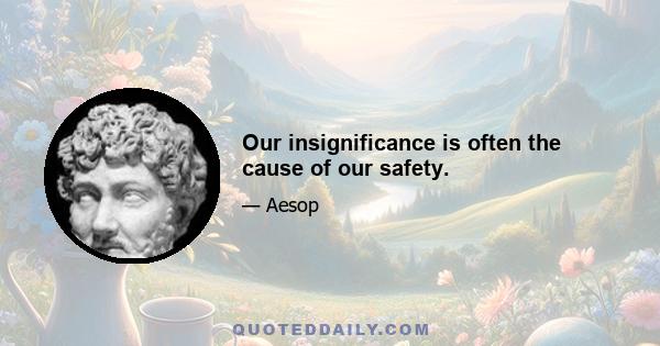 Our insignificance is often the cause of our safety.