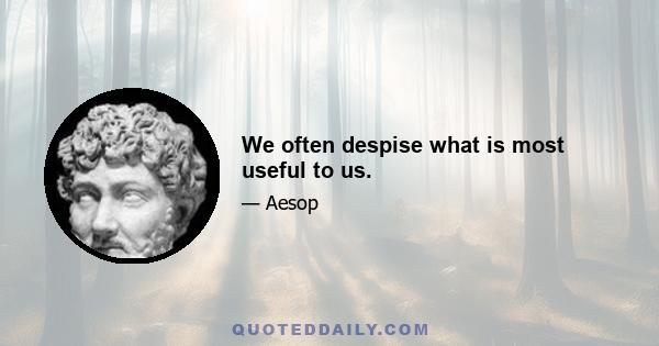 We often despise what is most useful to us.