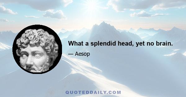 What a splendid head, yet no brain.