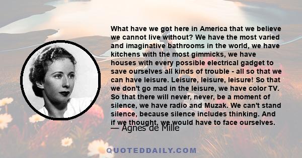 What have we got here in America that we believe we cannot live without? We have the most varied and imaginative bathrooms in the world, we have kitchens with the most gimmicks, we have houses with every possible