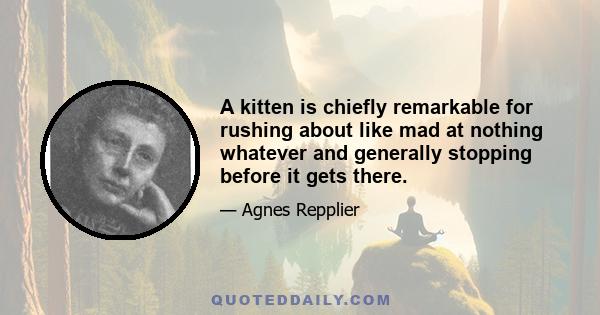 A kitten is chiefly remarkable for rushing about like mad at nothing whatever and generally stopping before it gets there.